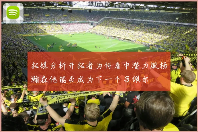 拓媒分析开拓者为何看中潜力股杨瀚森他能否成为下一个吕佩尔