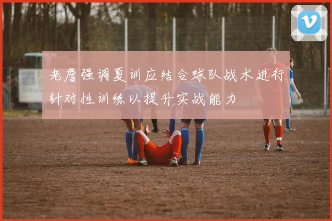 老詹强调夏训应结合球队战术进行针对性训练以提升实战能力