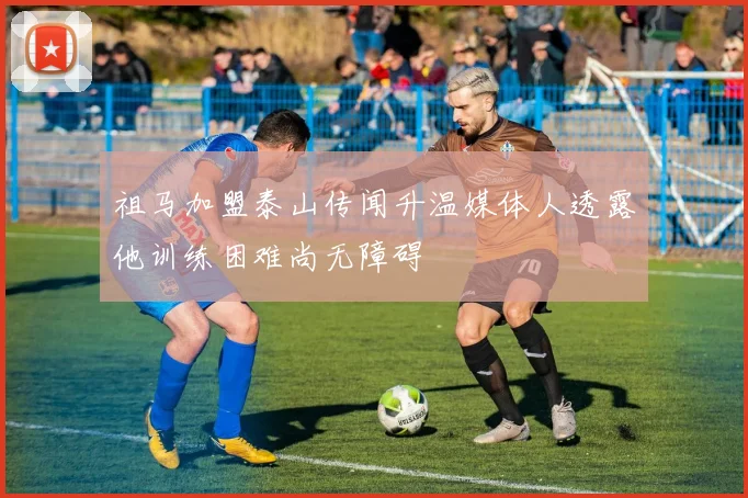 祖马加盟泰山传闻升温媒体人透露他训练困难尚无障碍