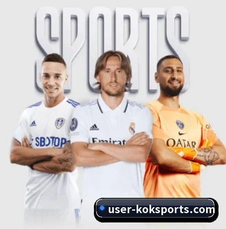 五大服务分区,信息按项目分类（KOK）